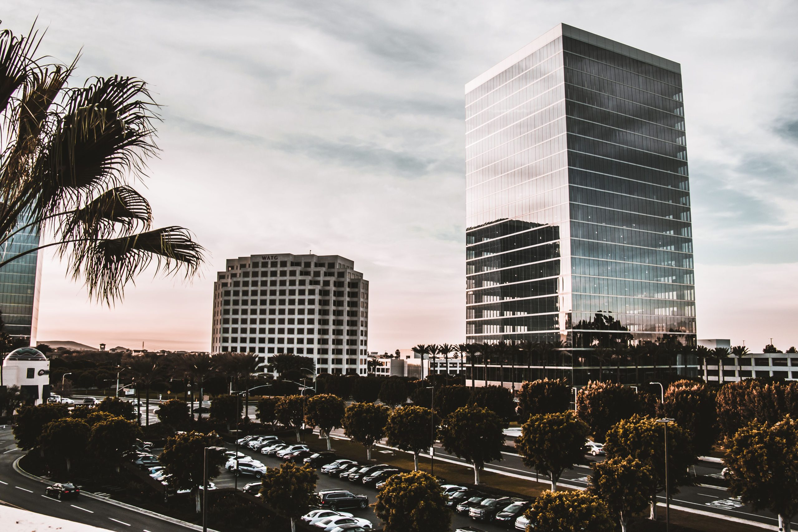 Vibrant cityscape with modern skyscrapers and palm trees during daytime.